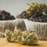 homemade-cakes-with-cannabis-and-buds-of-marijuana-PZMX6MC-1.jpg